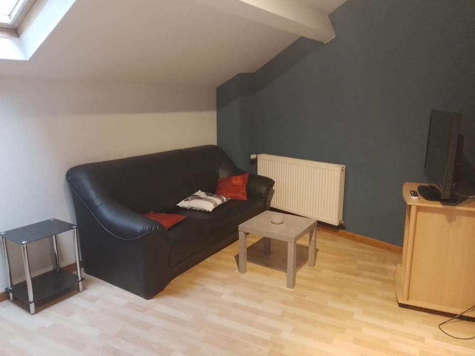 2 pièces cocooning Apartment in Haute-Savoie