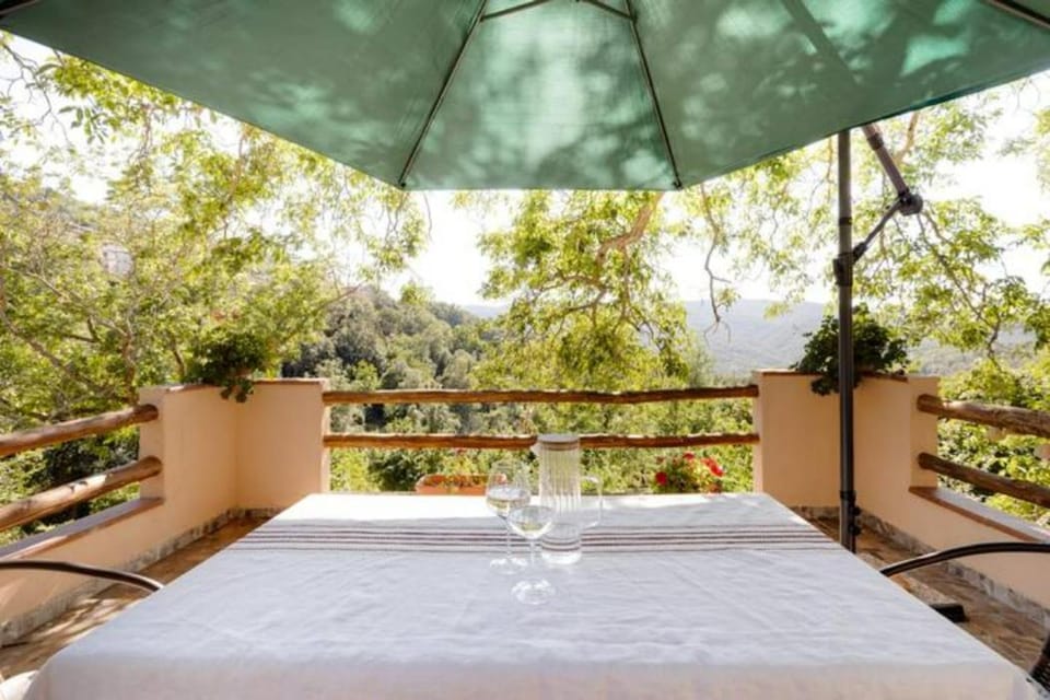 Balcony/Terrace, Garden view