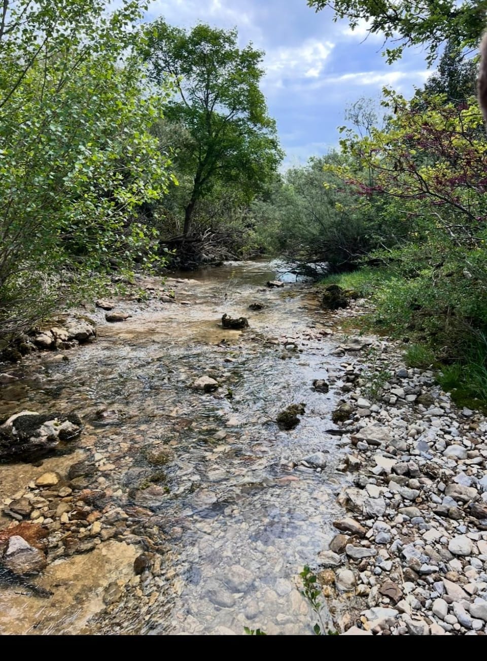 Nearby landmark, Natural landscape