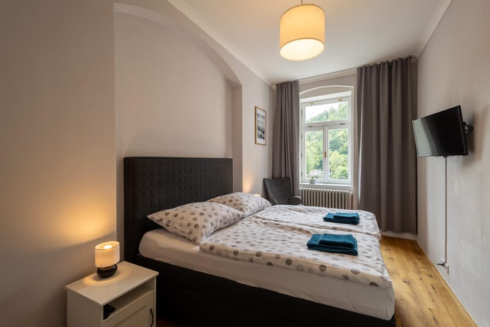 Apartmány Leopard Apartment in Saxony