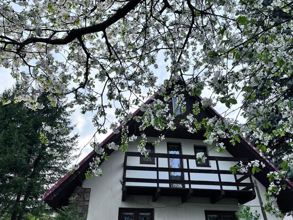 Property building, Spring, Garden