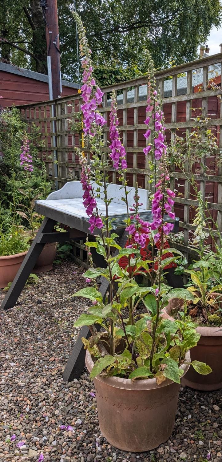 Peaceful Getaway In Peebles House in England