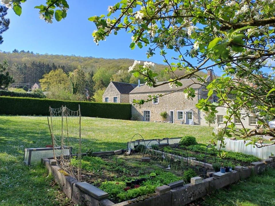 Property building, Spring, Natural landscape, Garden, Garden, Garden view, Garden view