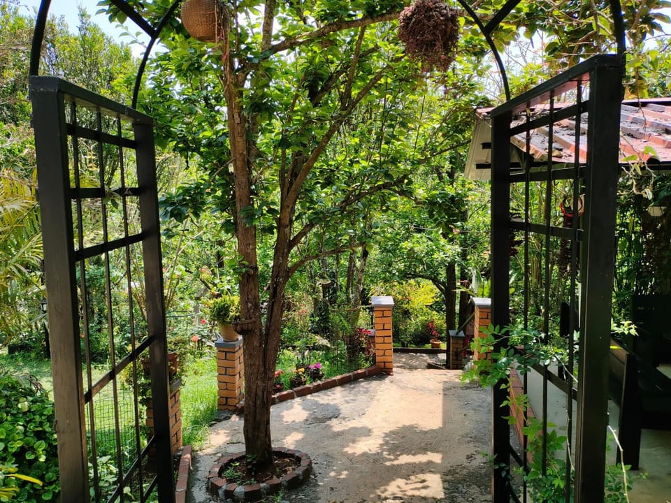 Silver Spruce 2BHK Entire Floor Kotagiri Villa in Kerala