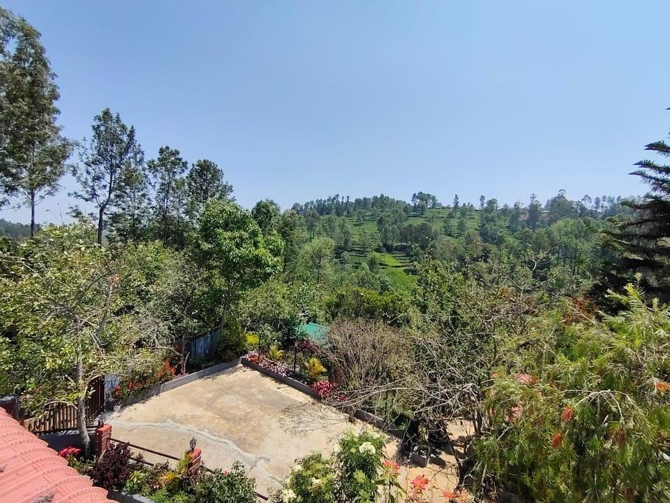 Garden, Garden view