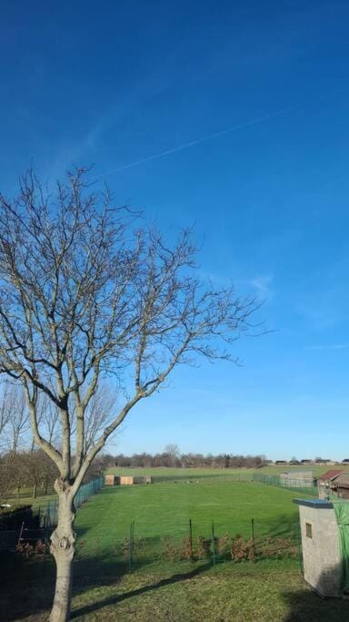 charmante maison 2 chambres, entièrement rénovée House in Flanders