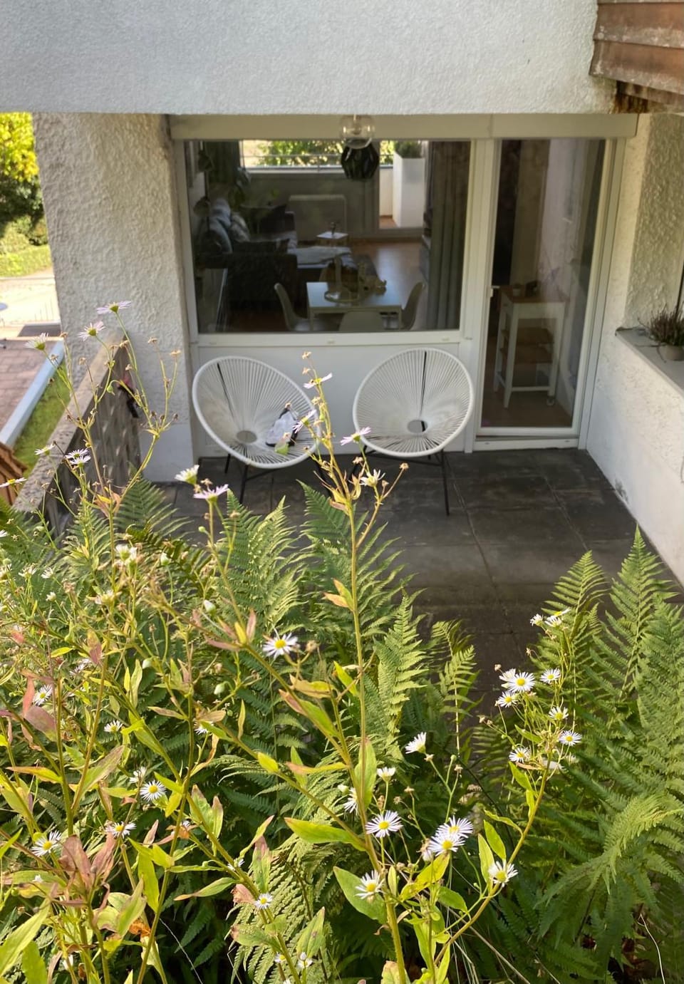 Property building, Garden view