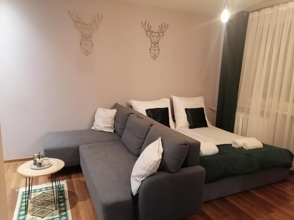 Bed, Living room, Bedroom, towels