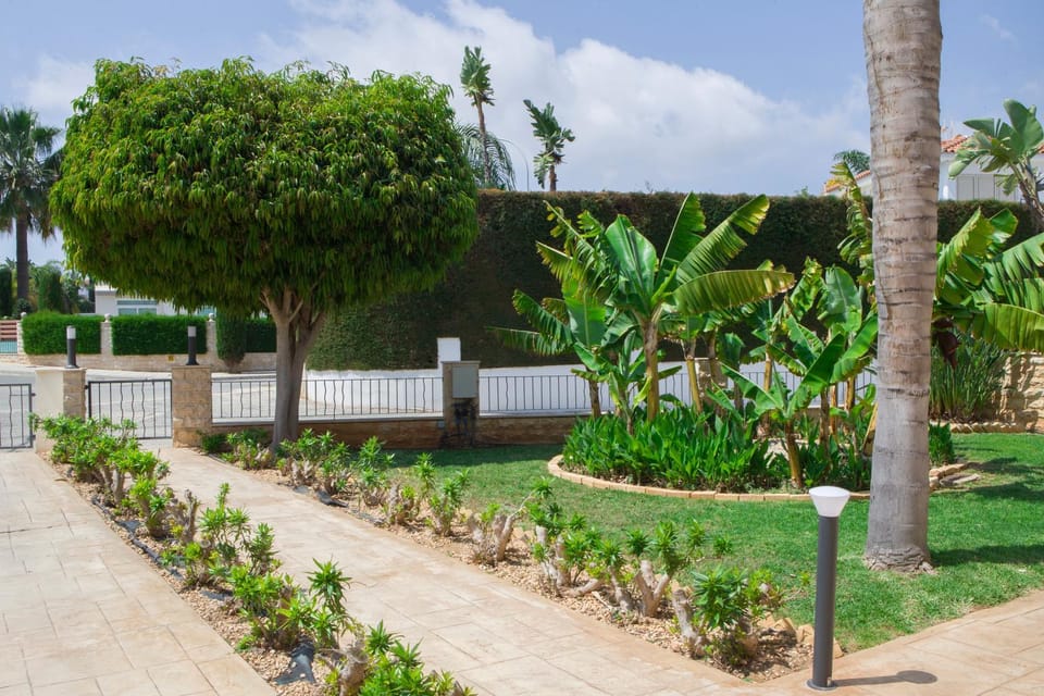 Garden, Garden, Garden view