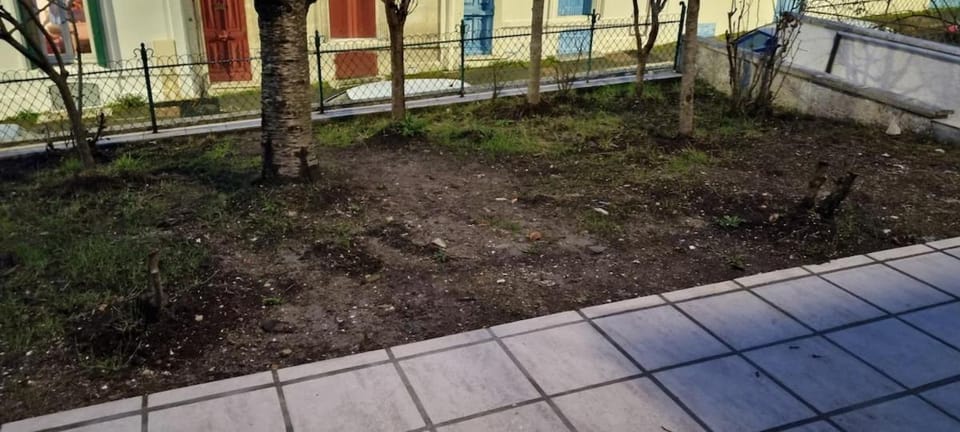 Garden, Garden view