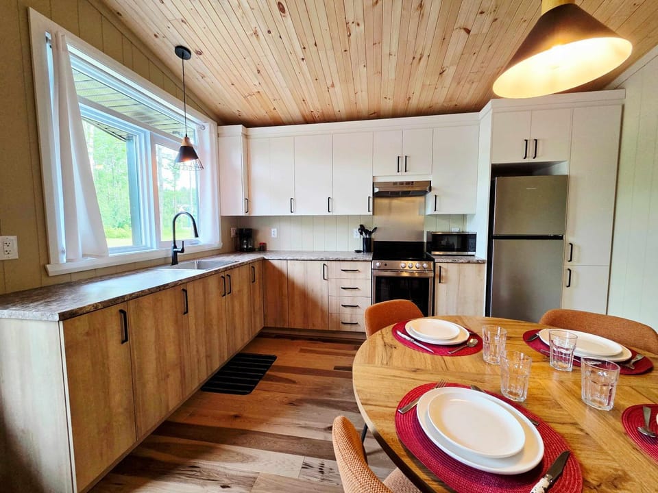 Kitchen or kitchenette, Dining area, oven, stove