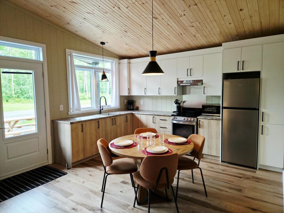 Kitchen or kitchenette, Dining area, oven, stove
