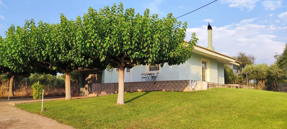 Property building, Natural landscape, Garden, Garden view
