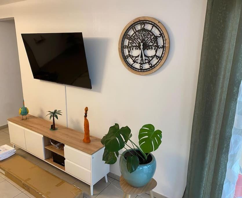 TV and multimedia
