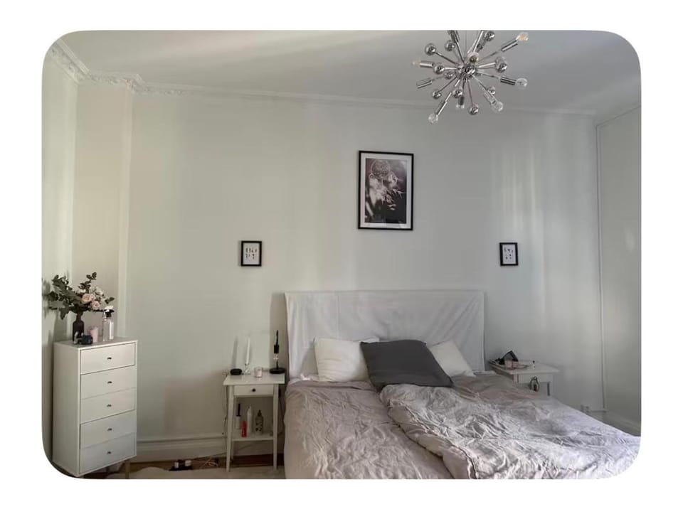 Charming huge apartment with south sunny balcony Apartment in Malmo