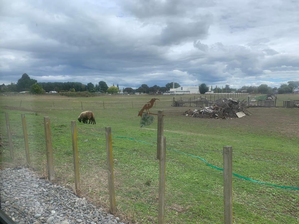 Natural landscape