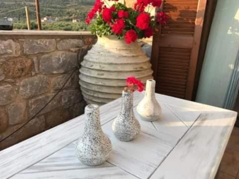 Small paradise in Saint Nicolas Village ! House in Messenia