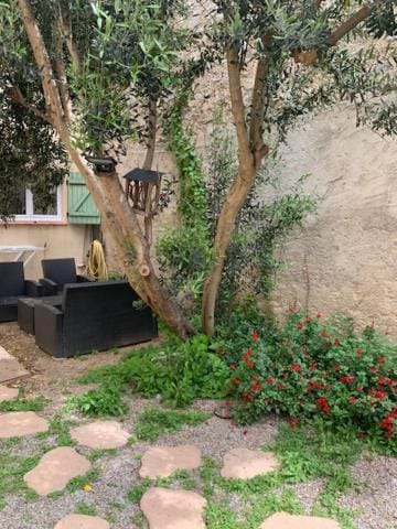 Garden, Garden