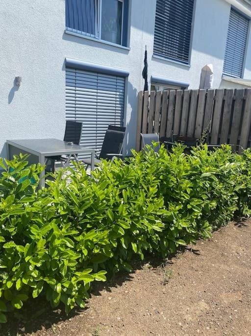 Ferienwohnung mit Blick auf den Feldberg Apartment in Rhineland-Palatinate