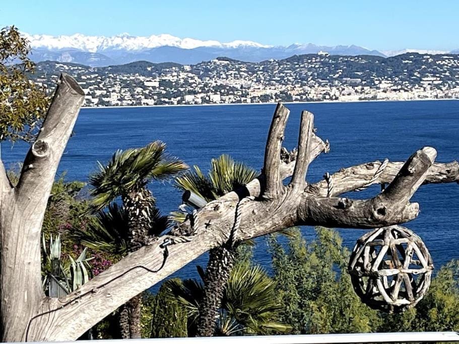 maison vue mer panoramique et jacuzzi Villa in Mandelieu-La Napoule