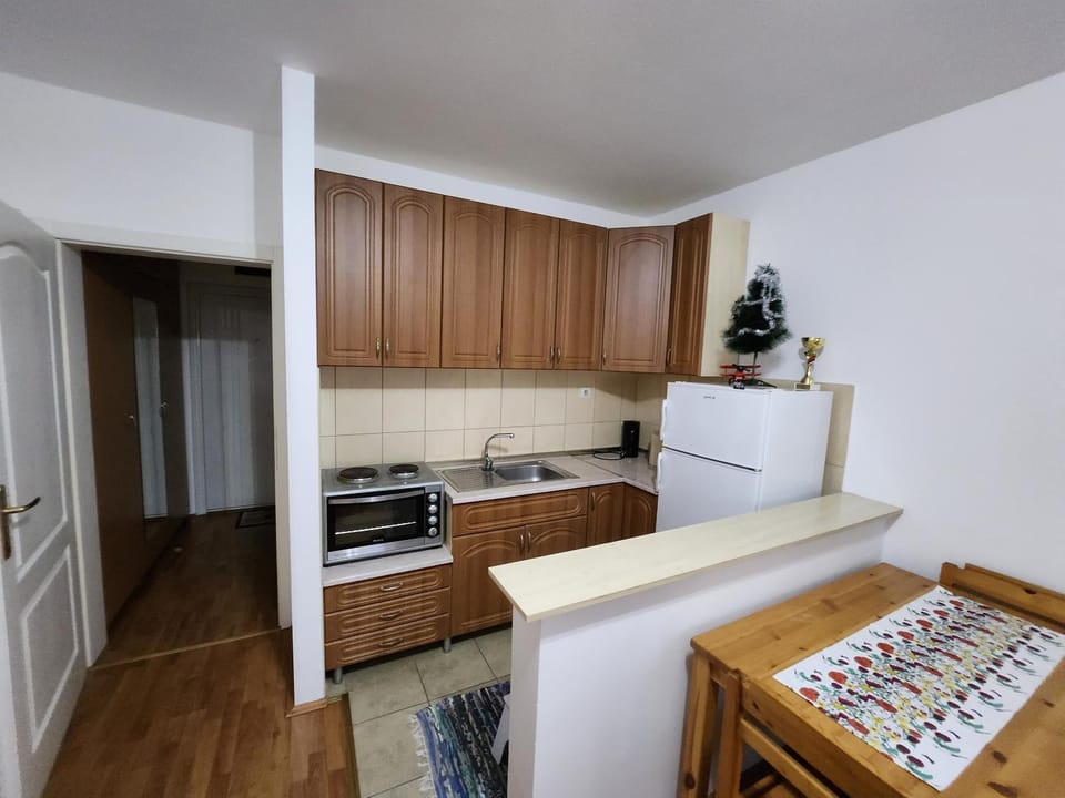 Apartman Anja Apartment in Serbia