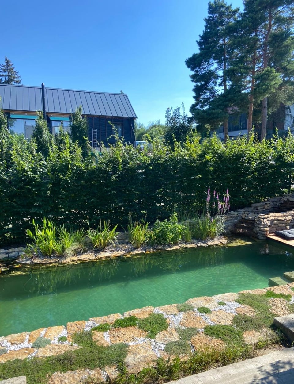 Garden, Garden view, Garden view, Swimming pool