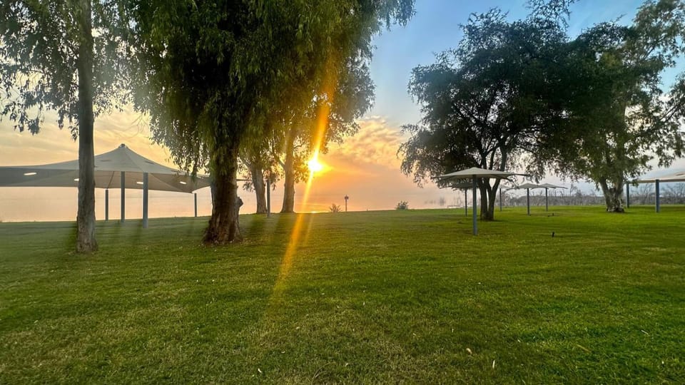 Spring, Day, Natural landscape, Garden, Lake view, Sunset