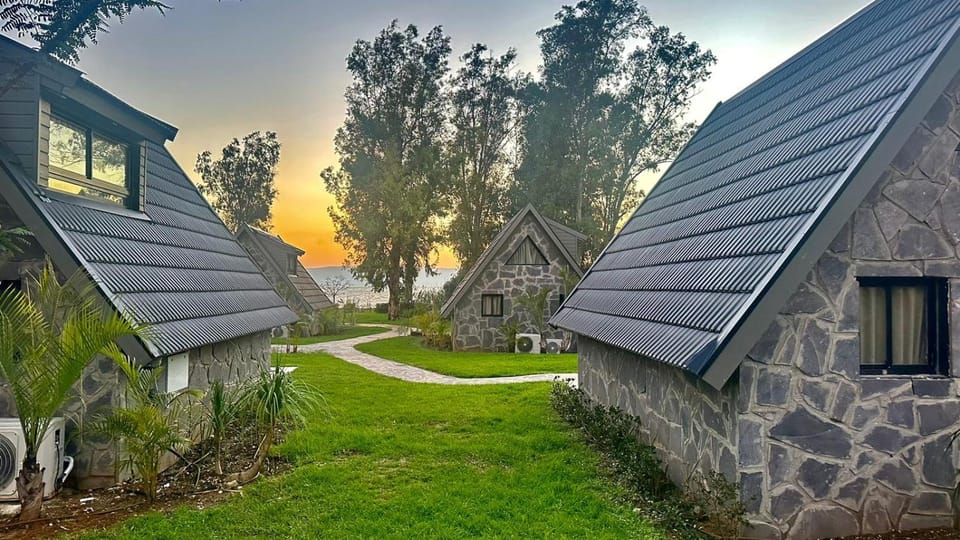 Property building, Spring, Day, Natural landscape, Garden, Garden view