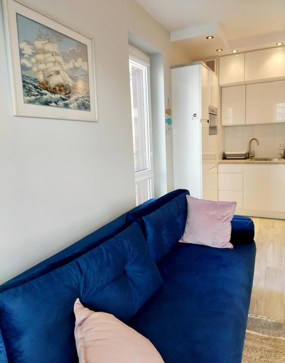 Living room, kitchen