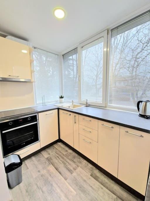 Kitchen or kitchenette, dishwasher, pet friendly, stove