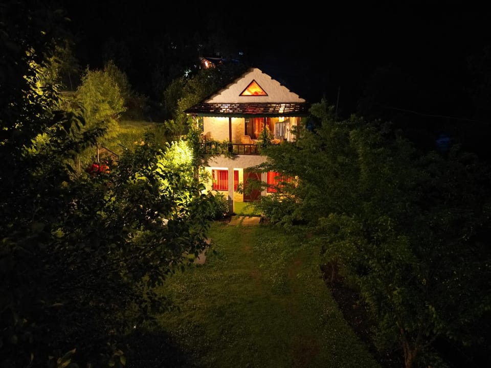 Property building, Night, River view