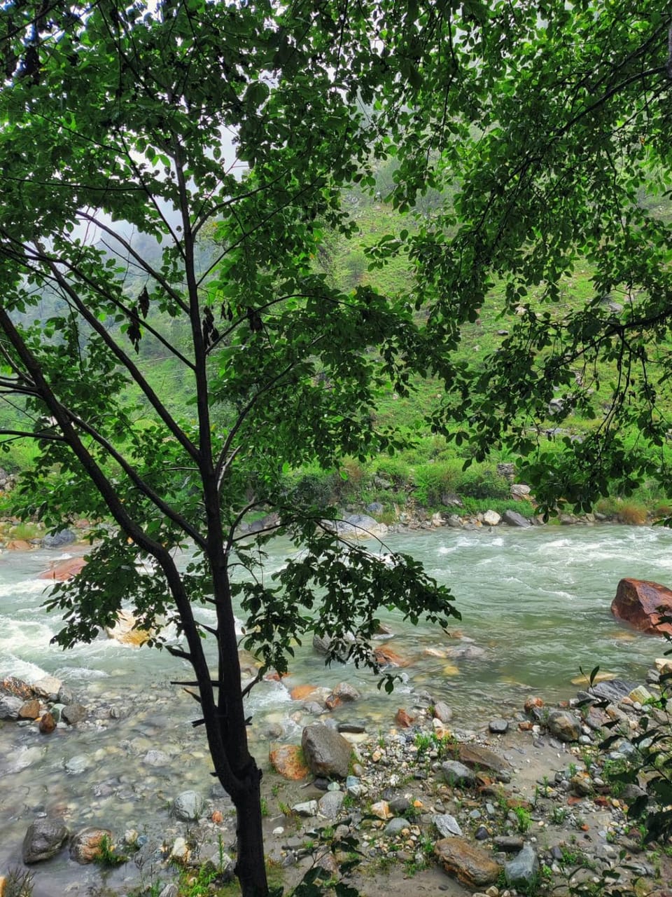 Day, River view