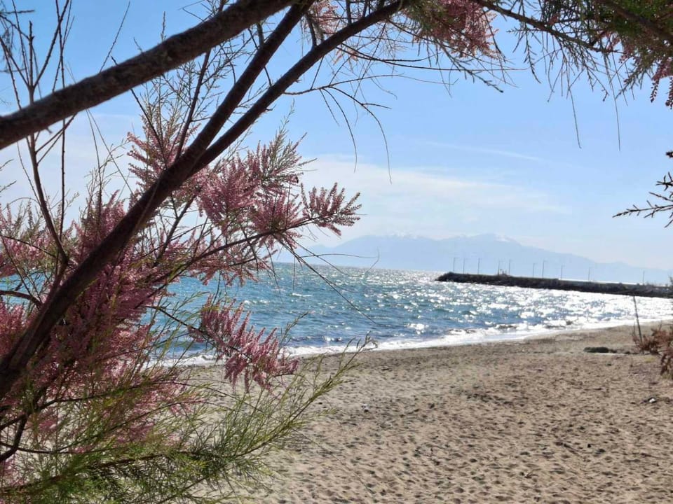 Sky Rooms Apartment in Halkidiki