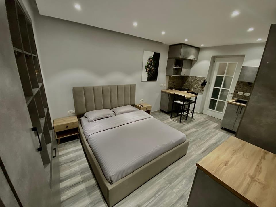 Studio at U.S Embassy 02 Apartment in Tirana