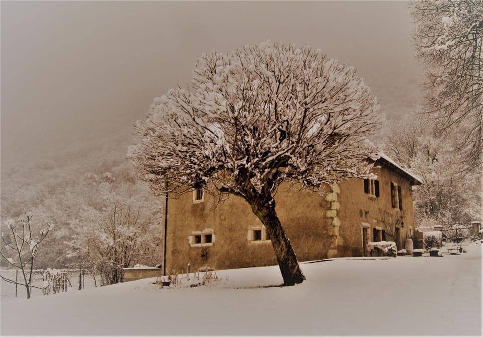 Property building, Winter