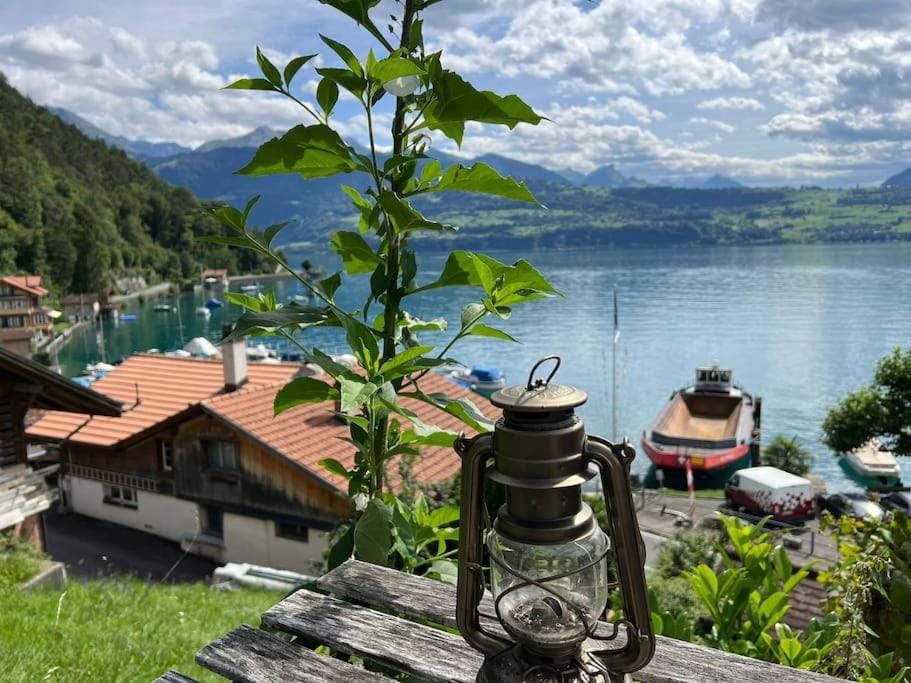Bijou Loft - Charming Loft on Lake Thun near Interlaken Apartment in Canton of Bern (Region)