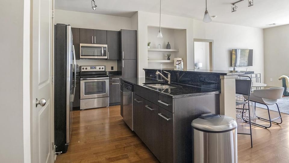 Landing Modern Apartment with Amazing Amenities (ID2205) Apartment in Baltimore