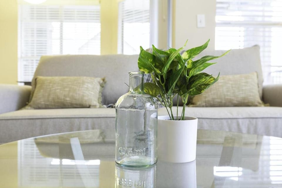 Landing Modern Apartment with Amazing Amenities (ID4586X2) Apartment in Allen