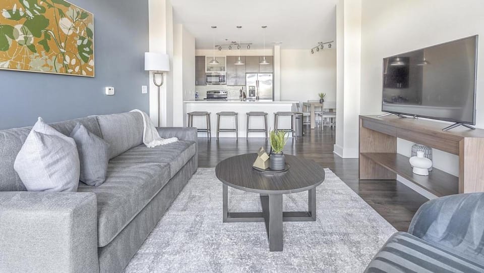 Landing Modern Apartment with Amazing Amenities (ID1233X033) Apartment in Charlotte