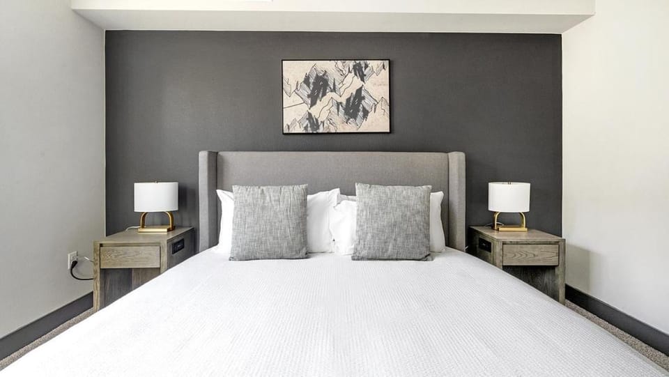 Landing Modern Apartment with Amazing Amenities (ID8595X86) Apartment in Aurora
