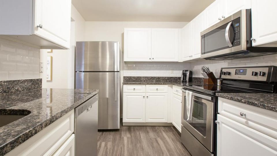 Landing Modern Apartment with Amazing Amenities (ID7894X33) Apartment in Rochester