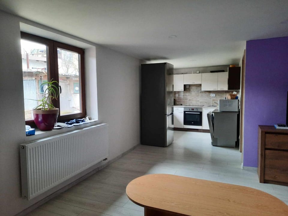 Kitchen or kitchenette, dishwasher, minibar, pet friendly, stove