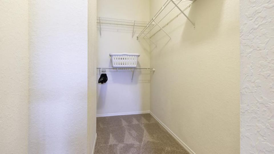 Landing Modern Apartment with Amazing Amenities (ID8163X37) Apartment in Pinellas Park