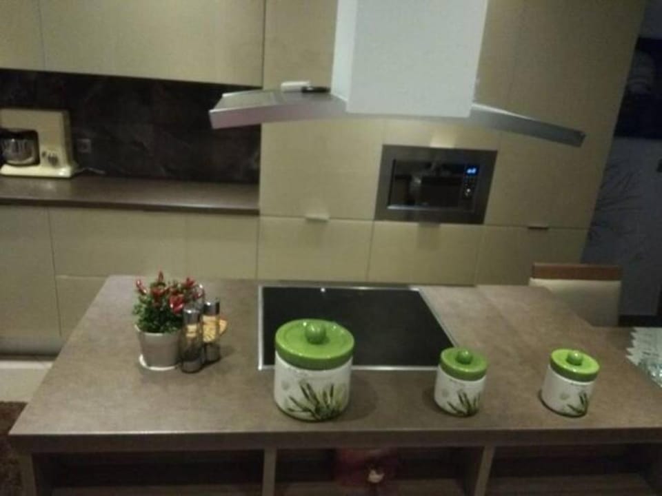 Kitchen or kitchenette, minibar, stove