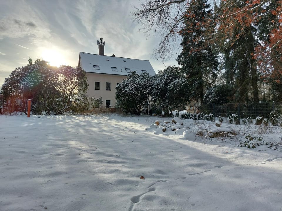 Property building, Day, Winter