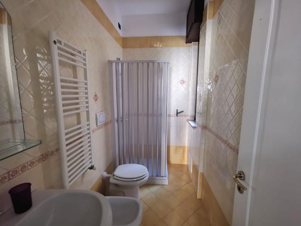 Shower, Toilet, Bathroom, bidet