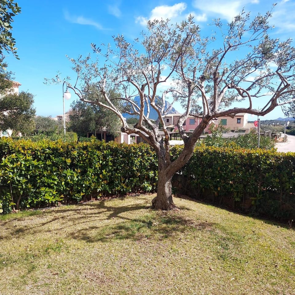 Garden, Garden