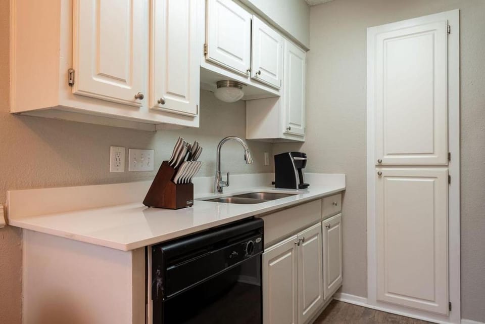 Landing Modern Apartment with Amazing Amenities (ID3620X90) Apartment in Austin