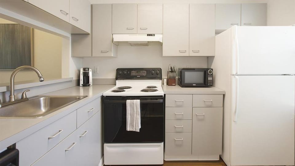 Landing - Modern Apartment with Amazing Amenities (ID8042X74) Apartment in Lake Erie