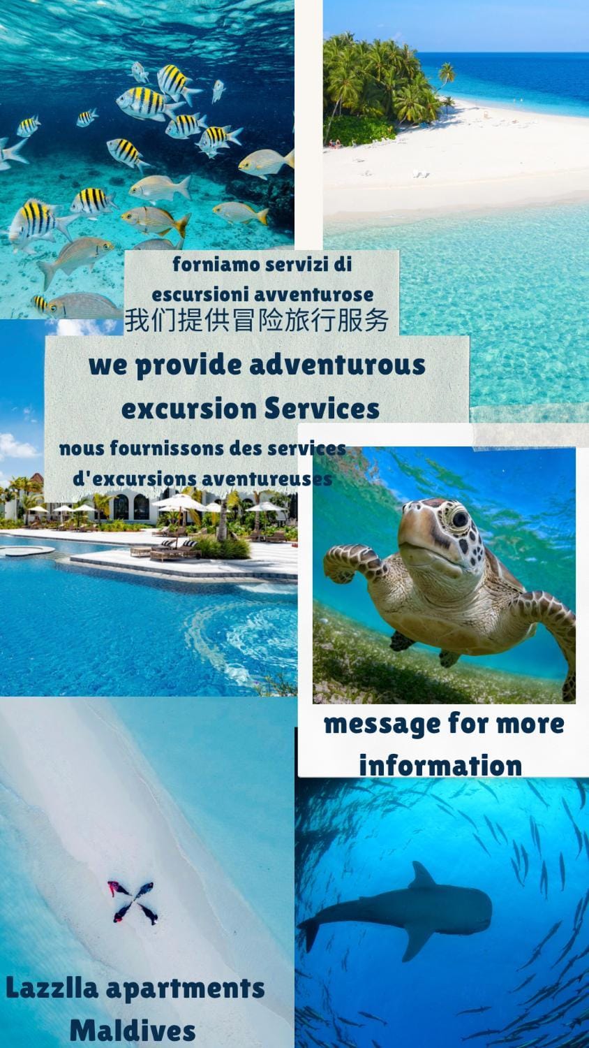 Lazzlla beachside studio apartments Apartment in Maldives